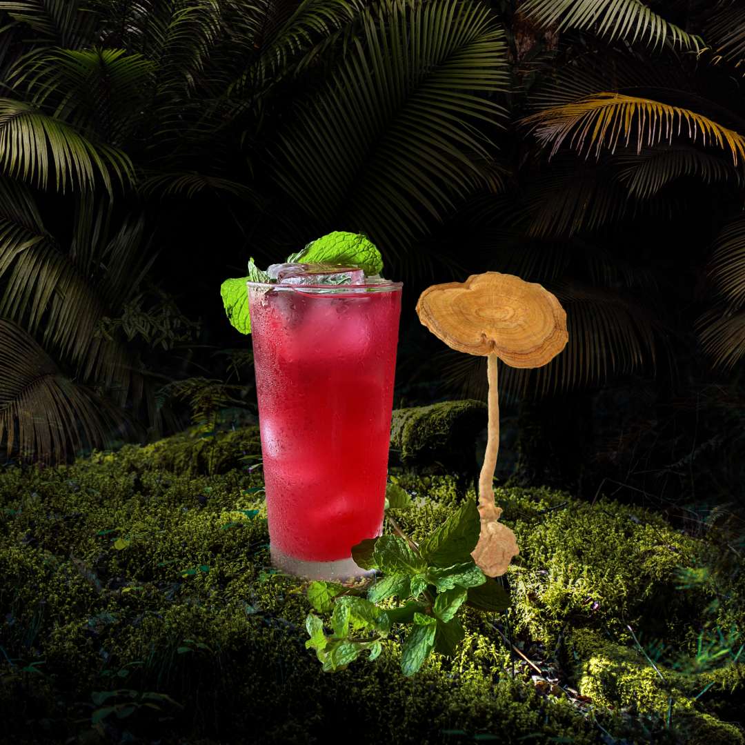 PurelyB Tiger Milk Mushroom