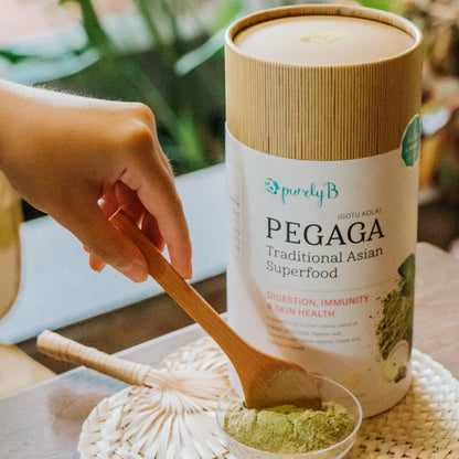 PurelyB Pegaga Starter