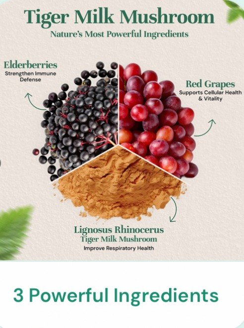 3 Powerful Ingredients  -  Elderberries, Red Grapes, Tiger Milk Mushroom