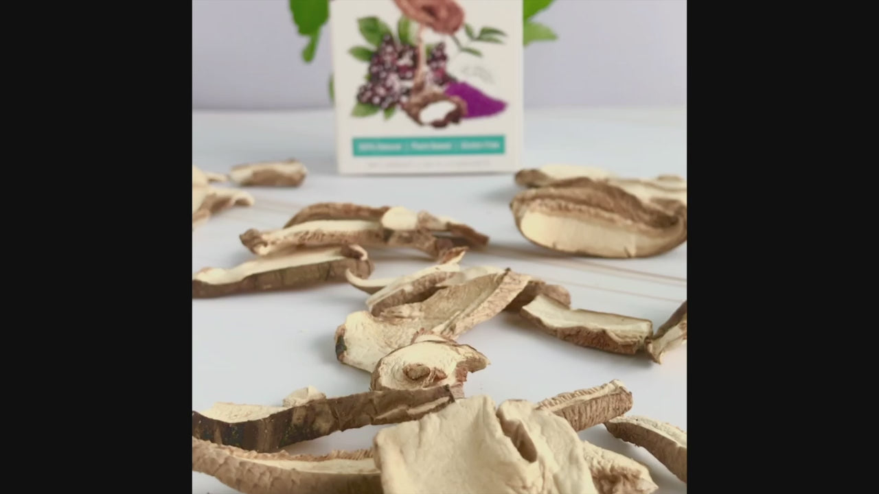 PurelyB Tiger Milk Mushroom