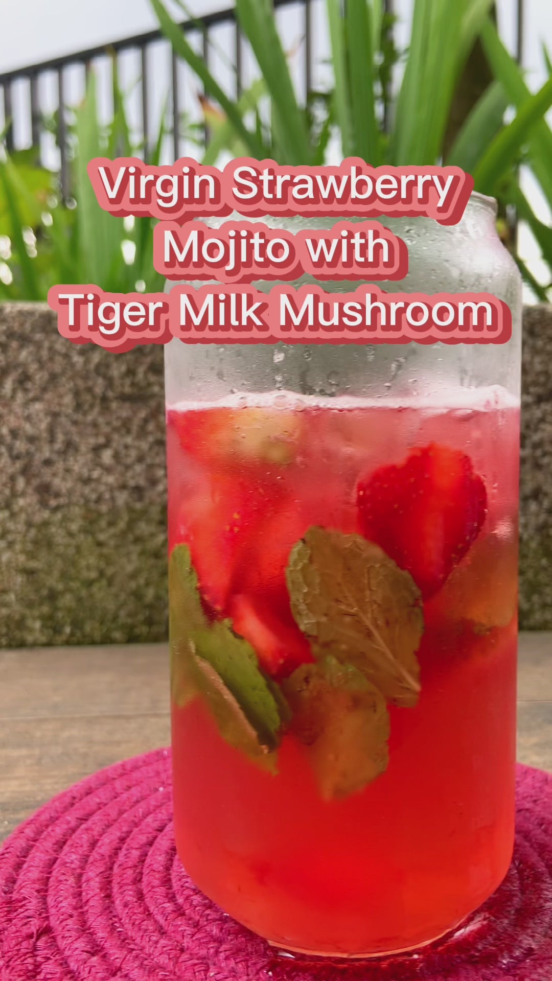 PurelyB Tiger Milk Mushroom